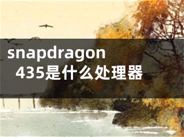 snapdragon435是什么处理器