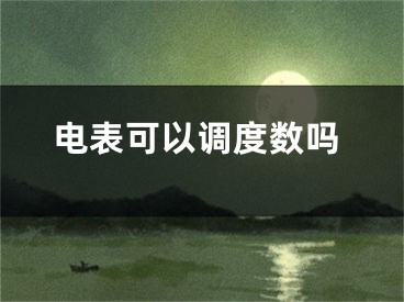 电表可以调度数吗