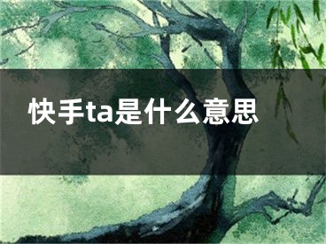 快手ta是什么意思