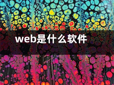 web是什么软件