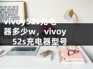 vivoy52s充电器多少w，vivoy52s充电器型号