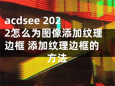 acdsee 2022怎么为图像添加纹理边框 添加纹理边框的方法