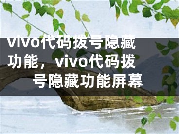 vivo代码拨号隐藏功能，vivo代码拨号隐藏功能屏幕