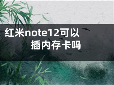 红米note12可以插内存卡吗
