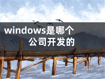 windows是哪个公司开发的