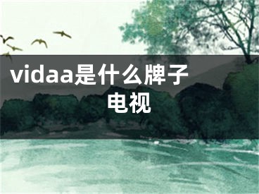 vidaa是什么牌子电视