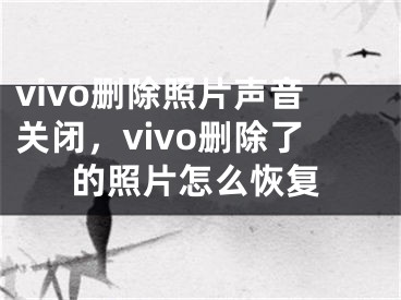 vivo删除照片声音关闭，vivo删除了的照片怎么恢复