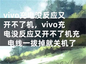 vivo充电没反应又开不了机，vivo充电没反应又开不了机充电线一拔掉就关机了