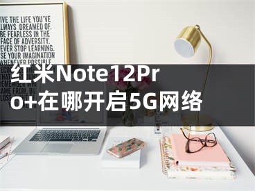 红米Note12Pro+在哪开启5G网络