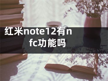红米note12有nfc功能吗