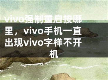 vivo强制重启按哪里，vivo手机一直出现vivo字样不开机