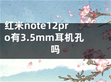 红米note12pro有3.5mm耳机孔吗