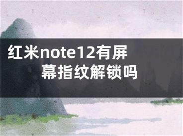 红米note12有屏幕指纹解锁吗