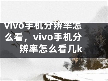 vivo手机分辨率怎么看，vivo手机分辨率怎么看几k