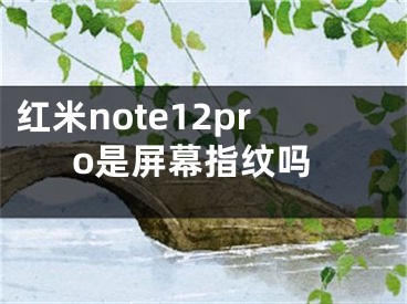 红米note12pro是屏幕指纹吗