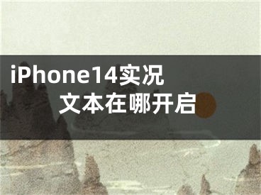 iPhone14实况文本在哪开启