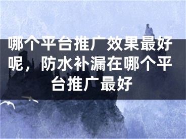 哪个平台推广效果最好呢，防水补漏在哪个平台推广最好