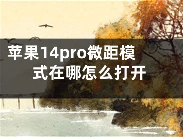 苹果14pro微距模式在哪怎么打开