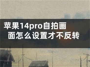 苹果14pro自拍画面怎么设置才不反转
