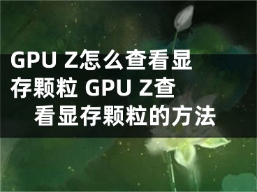 GPU Z怎么查看显存颗粒 GPU Z查看显存颗粒的方法