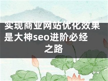 实现商业网站优化效果是大神seo进阶必经之路