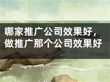 哪家推广公司效果好，做推广那个公司效果好