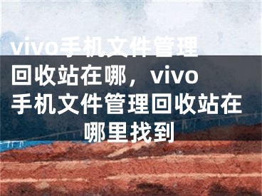 vivo手机文件管理回收站在哪，vivo手机文件管理回收站在哪里找到