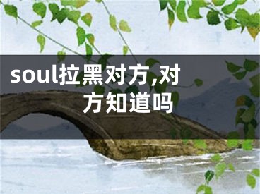 soul拉黑对方,对方知道吗