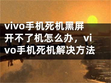 vivo手机死机黑屏开不了机怎么办，vivo手机死机解决方法