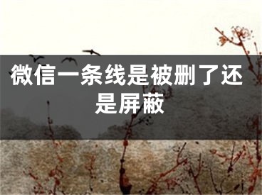 微信一条线是被删了还是屏蔽