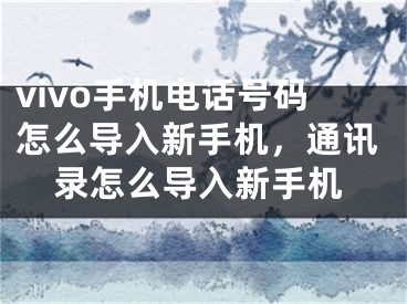 vivo手机电话号码怎么导入新手机，通讯录怎么导入新手机