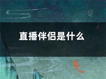 直播伴侣是什么