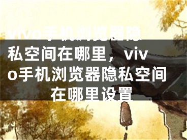 vivo手机浏览器隐私空间在哪里，vivo手机浏览器隐私空间在哪里设置