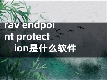 rav endpoint protection是什么软件