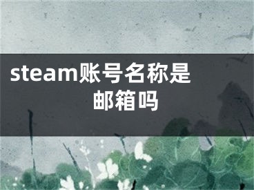 steam账号名称是邮箱吗