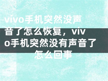 vivo手机突然没声音了怎么恢复，vivo手机突然没有声音了怎么回事