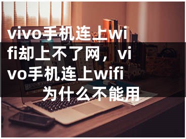 vivo手机连上wifi却上不了网，vivo手机连上wifi为什么不能用