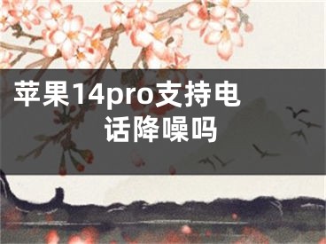 苹果14pro支持电话降噪吗