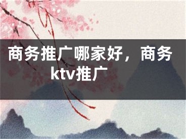 商务推广哪家好，商务ktv推广 