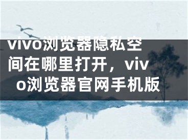 vivo浏览器隐私空间在哪里打开，vivo浏览器官网手机版