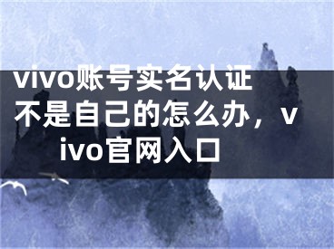 vivo账号实名认证不是自己的怎么办，vivo官网入口