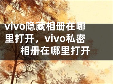 vivo隐藏相册在哪里打开，vivo私密相册在哪里打开