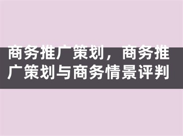 商务推广策划，商务推广策划与商务情景评判