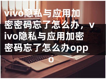 vivo隐私与应用加密密码忘了怎么办，vivo隐私与应用加密密码忘了怎么办oppo