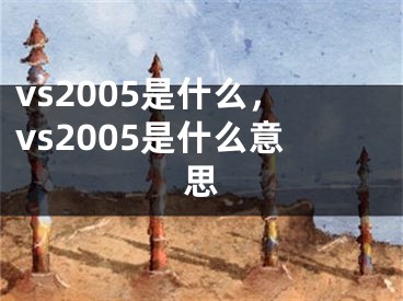 vs2005是什么，vs2005是什么意思