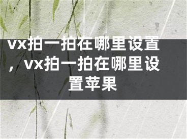 vx拍一拍在哪里设置，vx拍一拍在哪里设置苹果