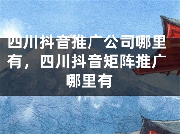 四川抖音推广公司哪里有，四川抖音矩阵推广哪里有