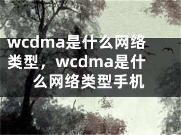 wcdma是什么网络类型，wcdma是什么网络类型手机