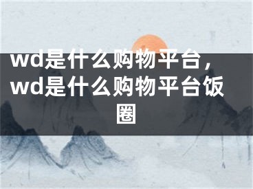 wd是什么购物平台，wd是什么购物平台饭圈