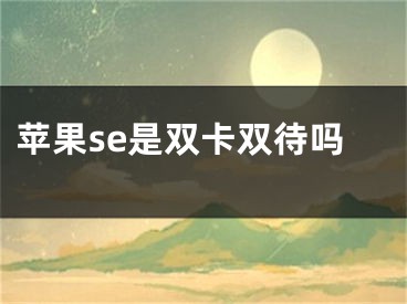 苹果se是双卡双待吗